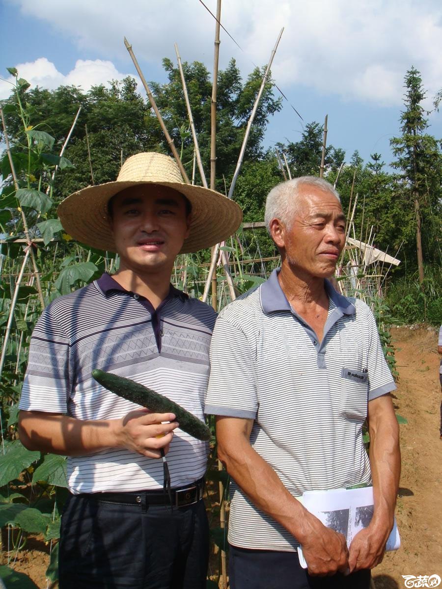 广东省农科院蔬菜研究所粤秀三号青瓜_006.jpg