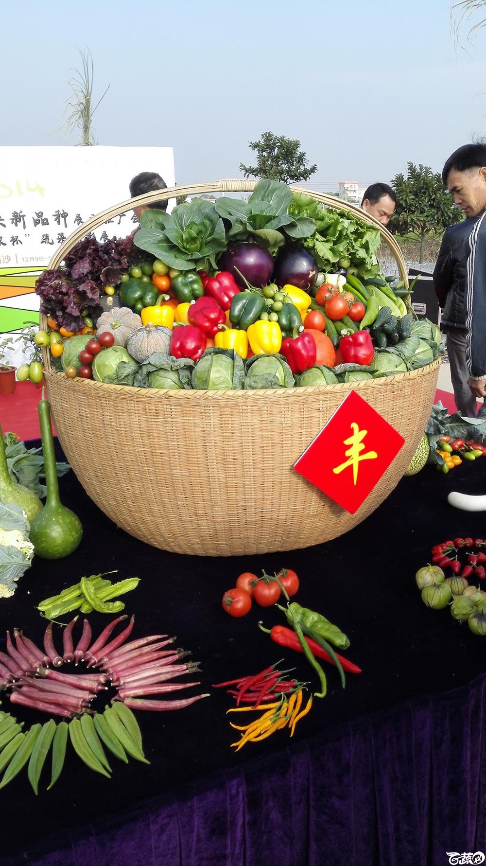 2014年12月10号广州市农科院南沙秋季蔬菜新品种展示会_其它_001.jpg