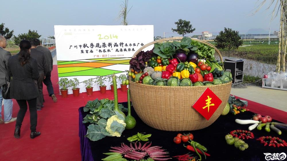 2014年12月10号广州市农科院南沙秋季蔬菜新品种展示会_其它_002.jpg