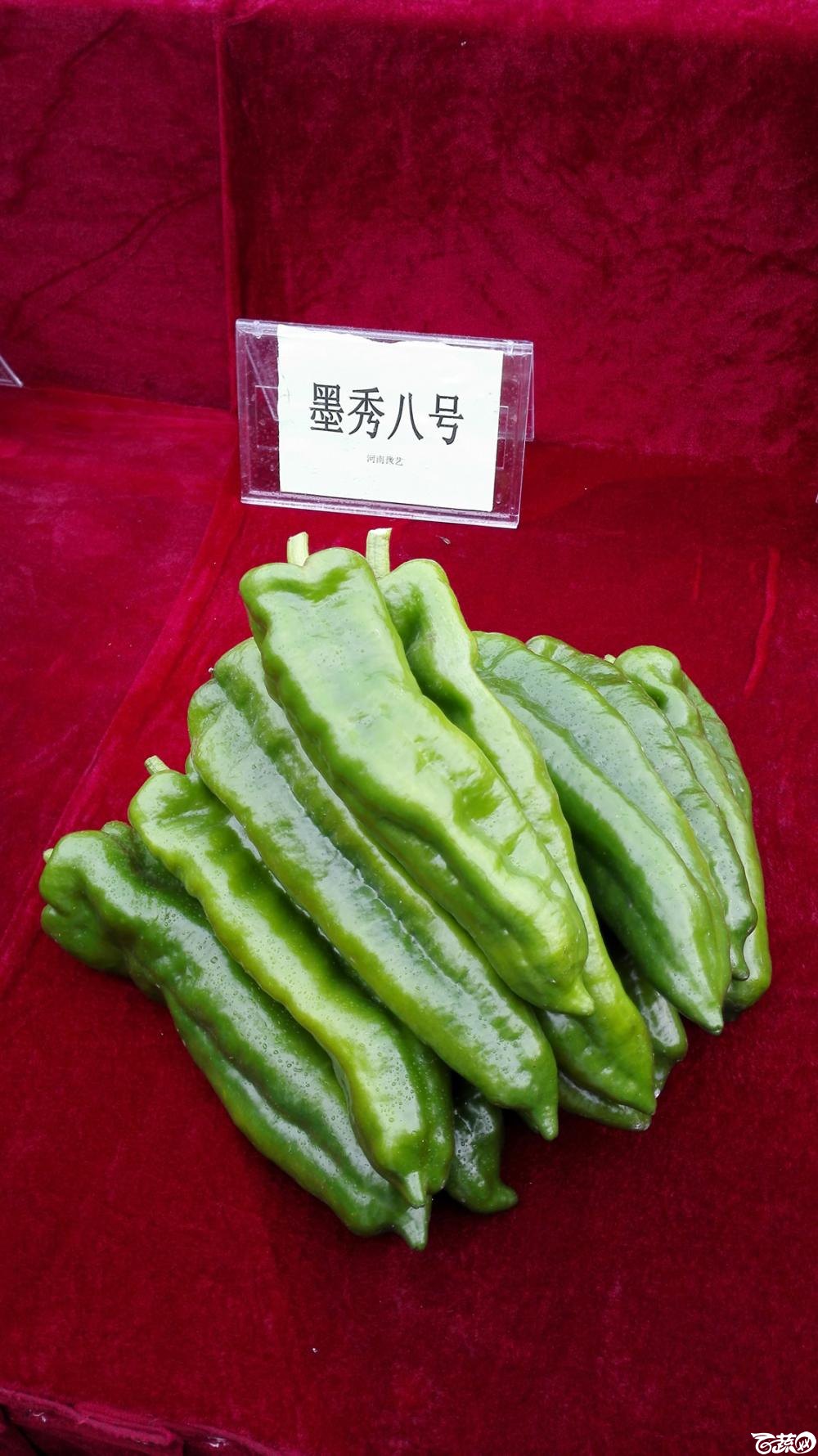 2014年12月8号中山蔬菜新品种展示会_辣椒_004.jpg