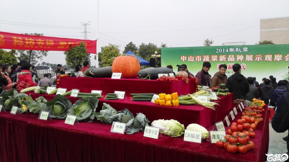 2014年12月8号中山蔬菜新品种展示会_其它_005.jpg