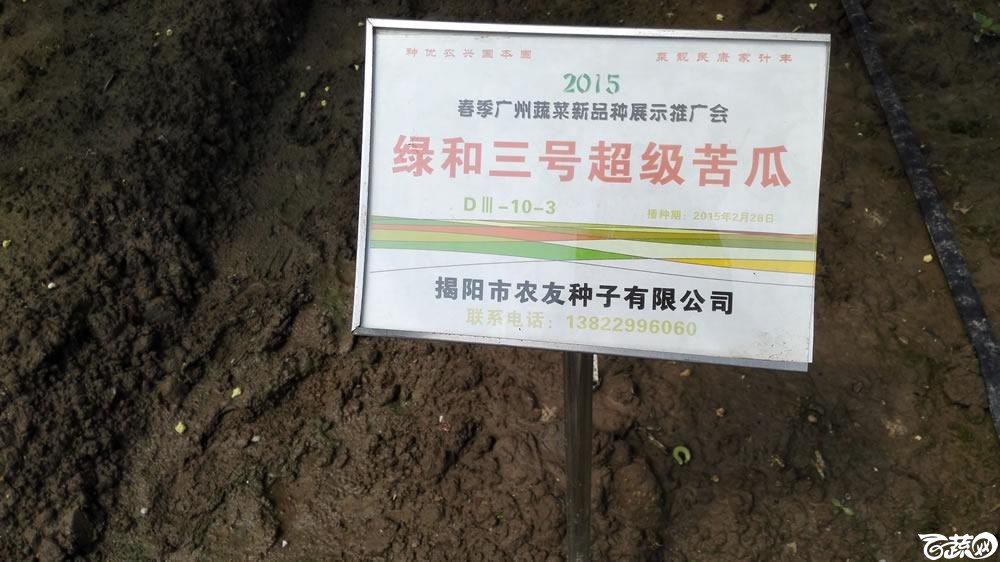 2015年春季广州蔬菜新品种展示推广会-揭研绿和三号苦瓜-003.jpg