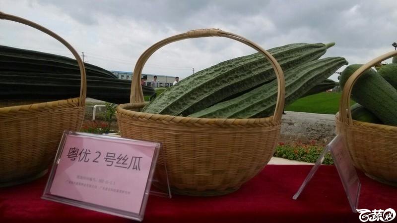 广州南沙春季展示会 2014-05-23_21.jpg