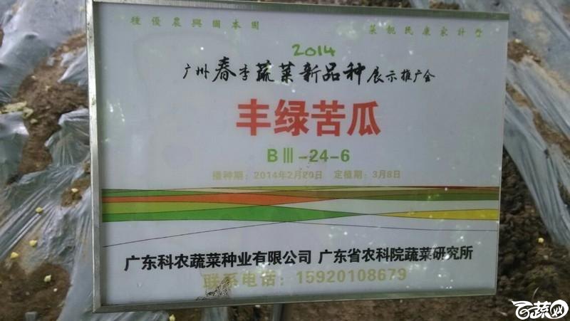 广州南沙春季展示会 2014-05-23_58.jpg
