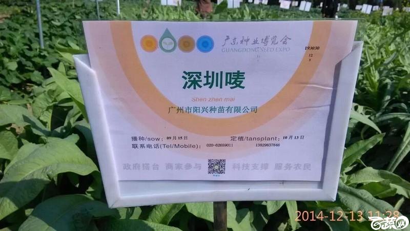 阳兴种苗13829837846 2014-12-14_5.jpg