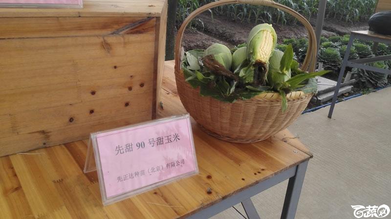 2015年秋第十届广州市蔬菜新品种展示推广会新品种展示 018.jpg