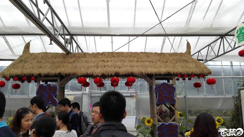 2015年秋佛山新品种展示会之设施蔬菜创意设计与展示 021.jpg