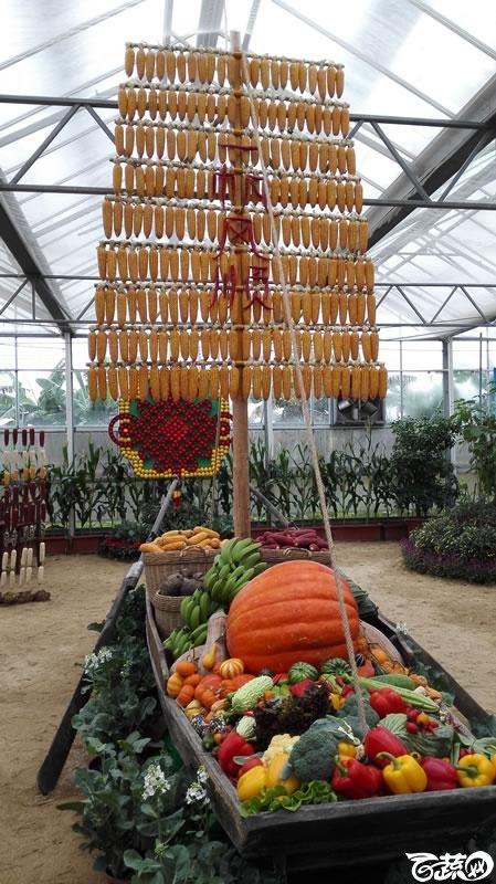 2015年秋佛山新品种展示会之设施蔬菜创意设计与展示 057.jpg