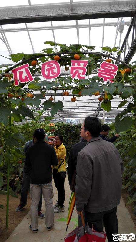 2015年秋佛山新品种展示会之设施蔬菜创意设计与展示 096.jpg