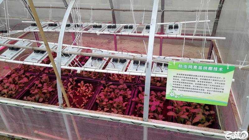 2015年秋佛山新品种展示会之设施蔬菜创意设计与展示植物工厂 095.jpg