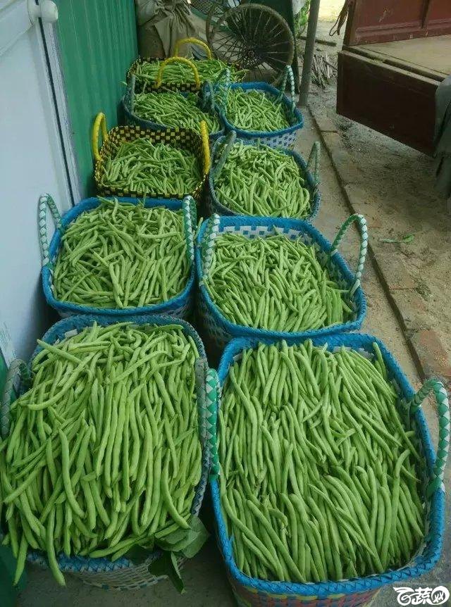 2015.04.20 2015-04-23_98.jpg