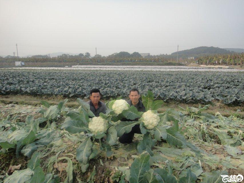 2013年12月18日松花王 DSC02370_27.jpg