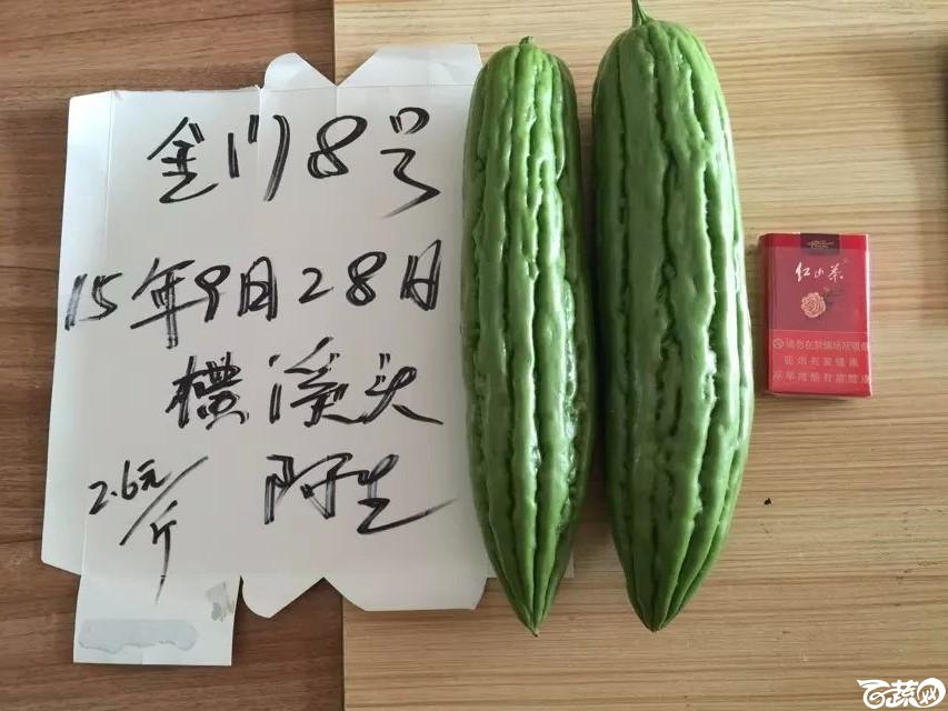 惠州苦瓜-最近 2015-08-29_167.jpg