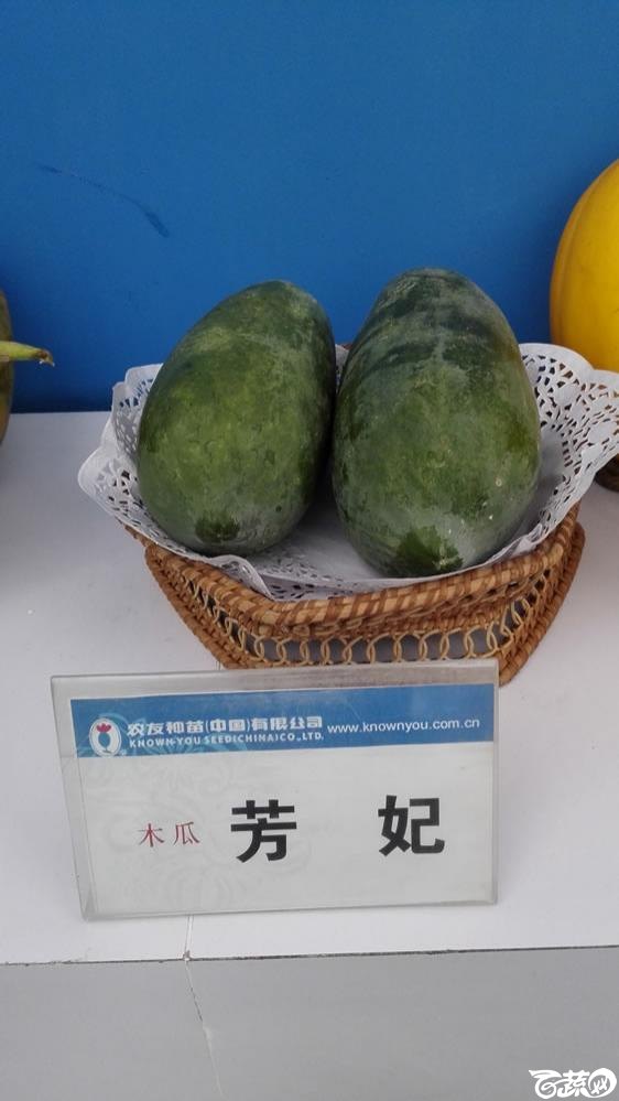 2015年双12广东种业博览会全国优良蔬菜品种田间表现-台湾农友种苗芳妃木瓜.jpg