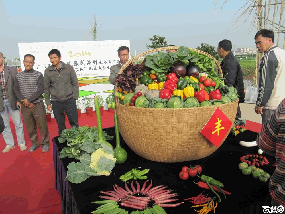 2014年12月10日广州市蔬菜新品种春季展示会实物展示 001.gif
