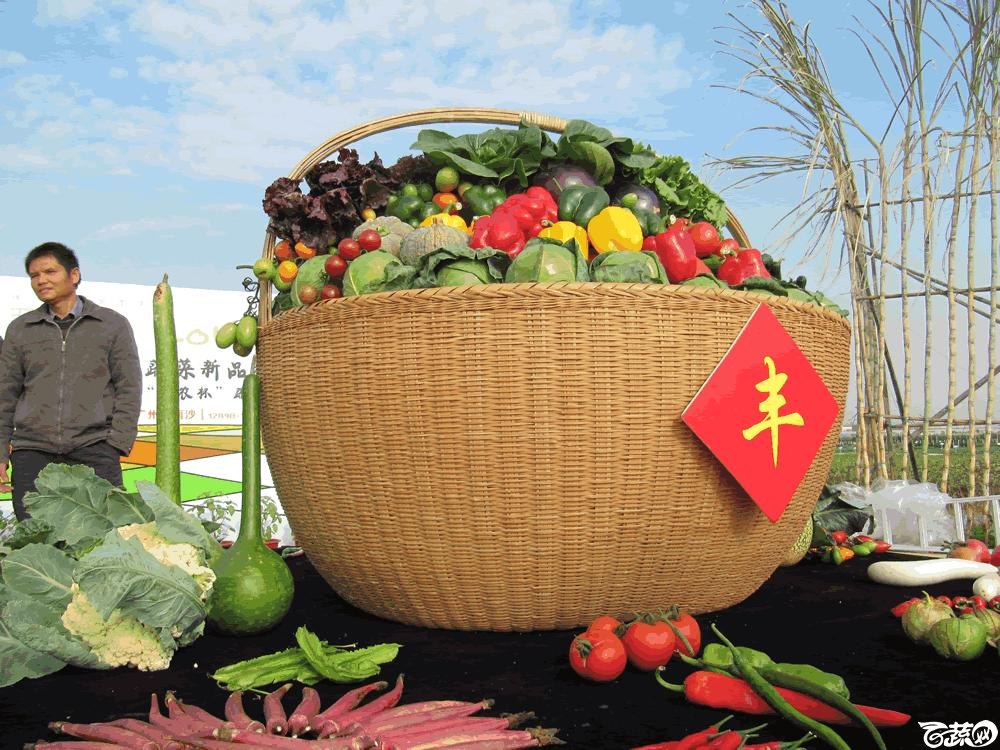 2014年12月10日广州市蔬菜新品种春季展示会实物展示 002.gif
