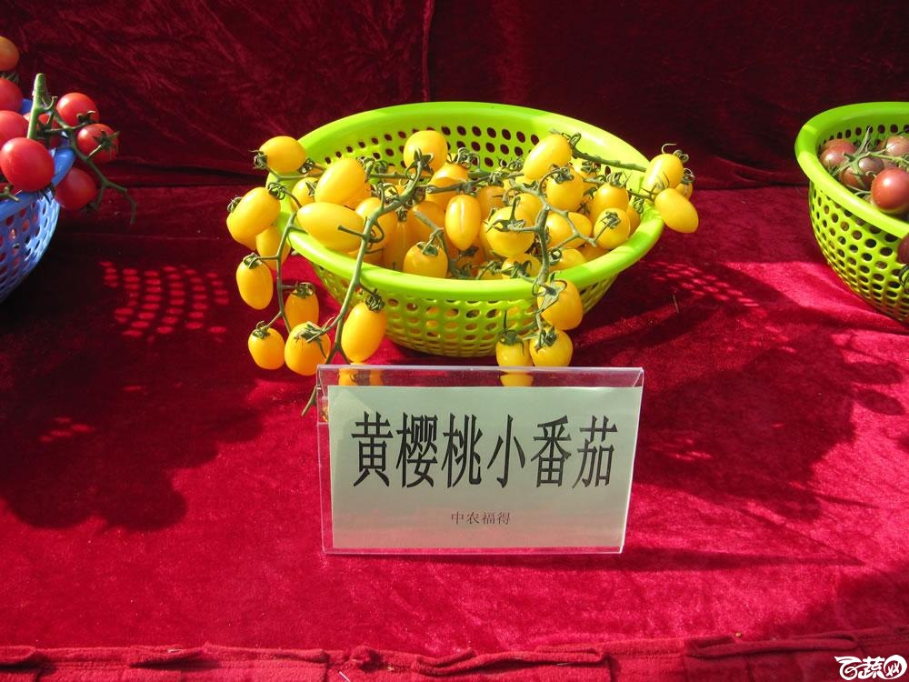 2013年12月27日中山农业技术推广中心蔬菜新品种展示会-新优蔬菜品种柜台展示-007.jpg