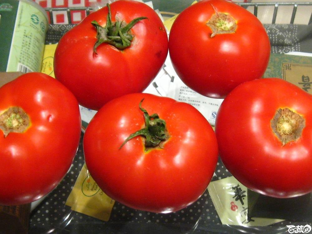 红宝番茄9.jpg