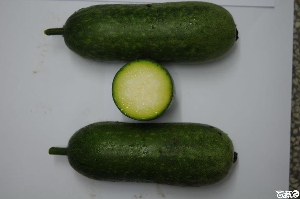 广东农科院蔬菜研究所绿肉翡翠水果节瓜 006.jpg