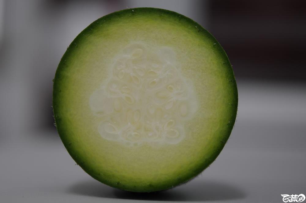 广东农科院蔬菜研究所绿肉翡翠水果节瓜 012.jpg