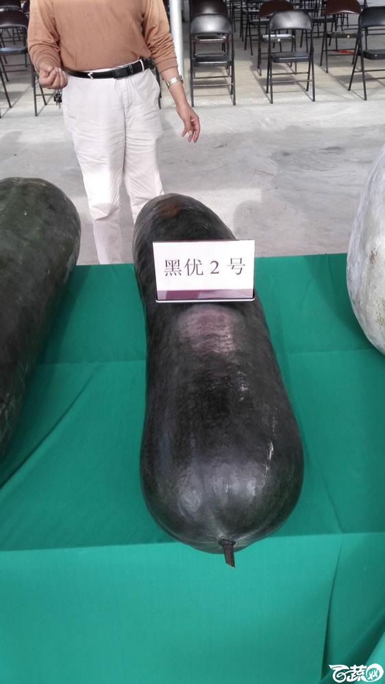 2014年广东蔬菜新品种新技术展示会-室内新品种展示-020.jpg