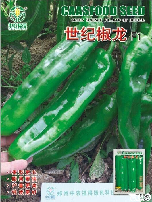 中国农科院郑州中农福得优良品质-世纪椒龙0.jpg