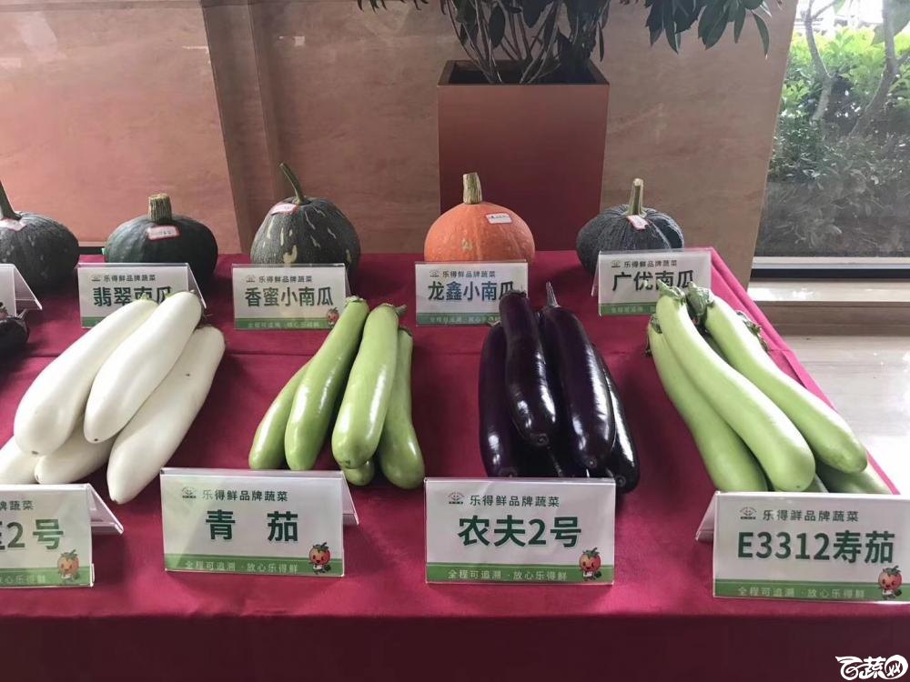 2018梅州蔬菜良种良法展示观摩培训会-茄子-002.JPG