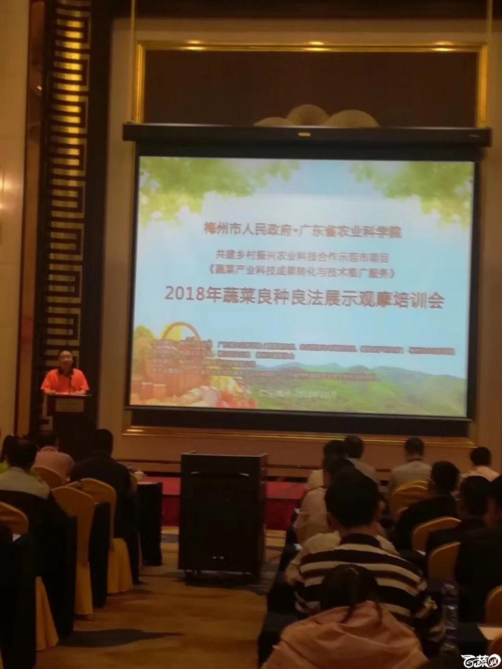 2018梅州蔬菜良种良法展示观摩培训会-其它-010.JPG