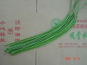 百蔬图，蔬菜图片，一网打尽