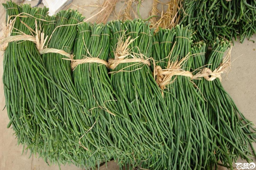 亮青豆角4.jpg