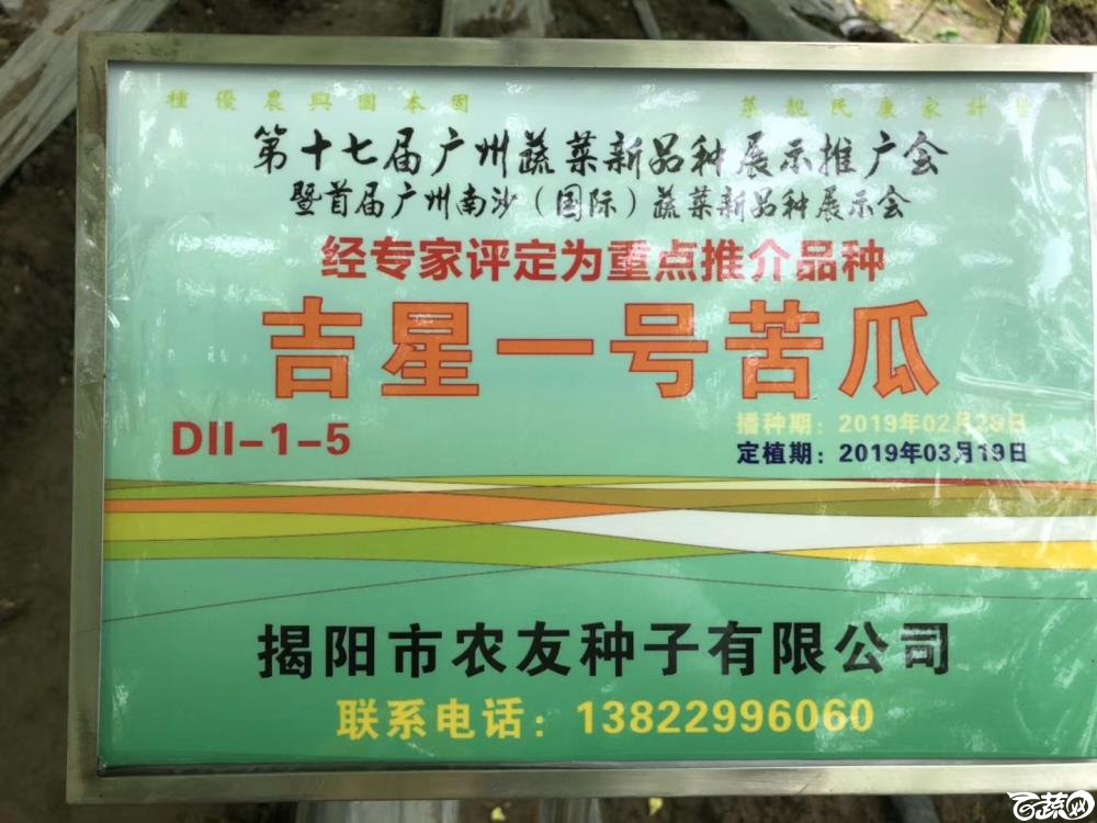 第十七届广州市蔬菜新品种展示推广会，专家重点推介品种，吉星一号苦瓜 001.JPG